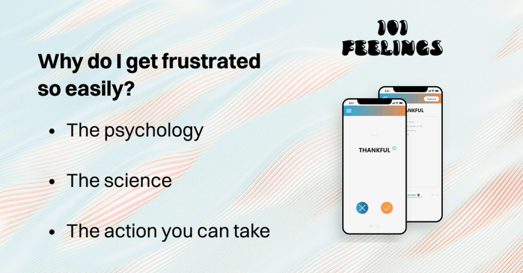 Why do I get frustrated so easily? An exploration of the question we've ...